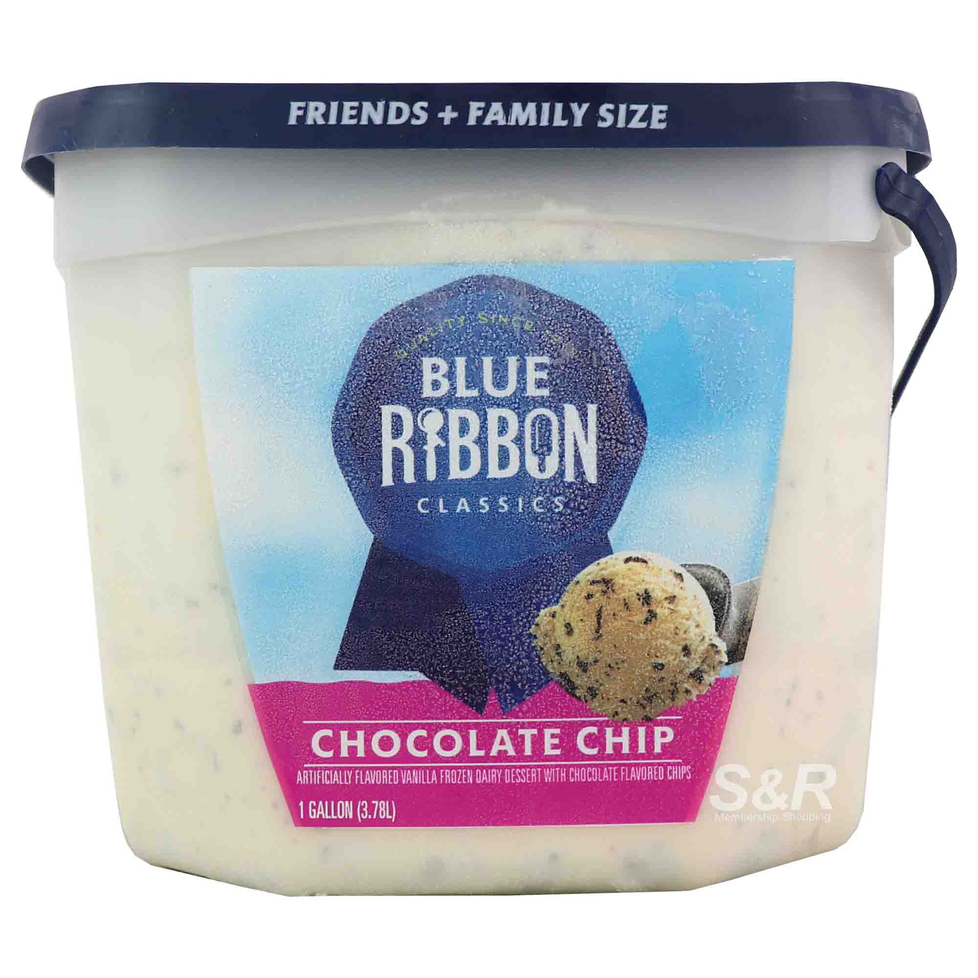 Blue Ribbon Chocolate Chip Frozen Dairy Dessert 3.78L